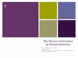 The Theory of Evolution by Natural Selection