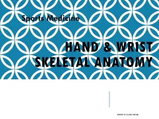 Hand &amp; Wrist Skeletal Anatomy