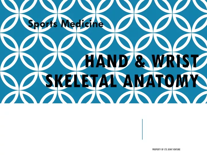 hand wrist skeletal anatomy