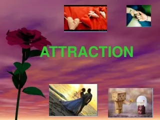 ATTRACTION