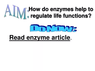 How do enzymes help to regulate life functions?