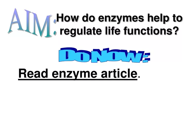 how do enzymes help to regulate life functions