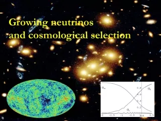 Growing neutrinos and cosmological selection