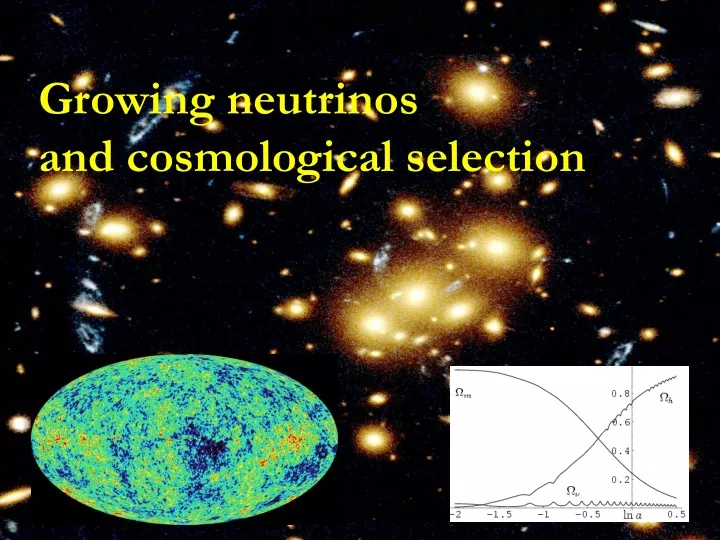 growing neutrinos and cosmological selection