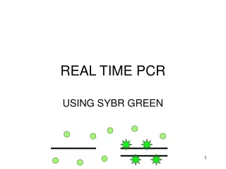 REAL TIME PCR