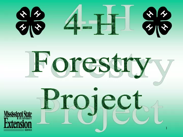 4 h forestry project
