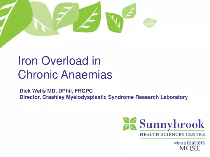 iron overload in chronic anaemias