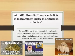 Aim #11: How did European beliefs in mercantilism shape the American colonies?