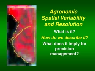 Agronomic Spatial Variability and Resolution