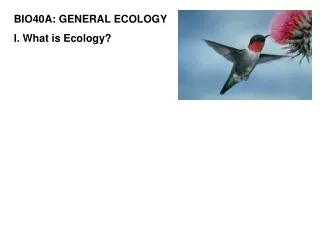 BIO40A: GENERAL ECOLOGY I. What is Ecology?
