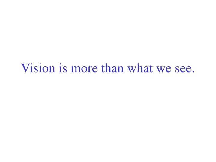 vision is more than what we see