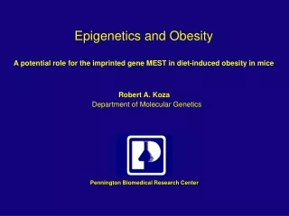 Epigenetics and Obesity
