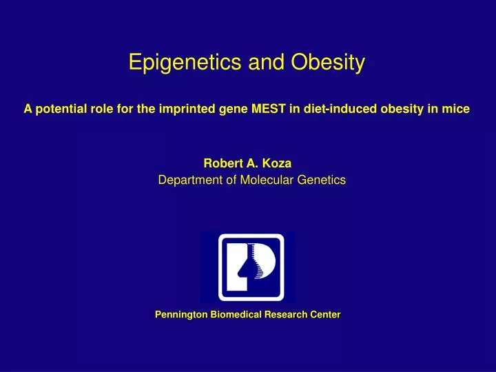 epigenetics and obesity a potential role