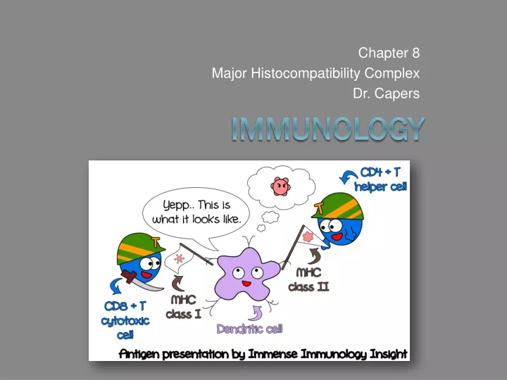 chapter 8 major histocompatibility complex dr capers