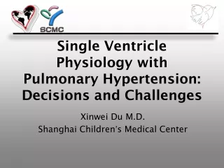 Single Ventricle Physiology with Pulmonary Hypertension: Decisions and Challenges