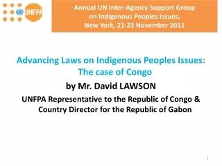 Annual UN Inter-Agency Support Group  on Indigenous Peoples Issues,  New York, 21-23 November 2011