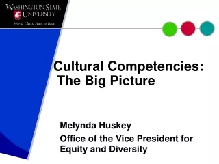 Cultural Competencies:  The Big Picture