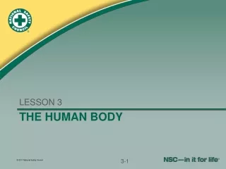 THE HUMAN BODY