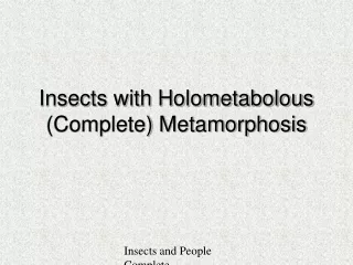 Insects with Holometabolous (Complete) Metamorphosis
