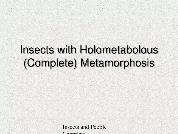 insects with holometabolous complete metamorphosis