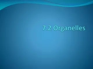 7.2 Organelles