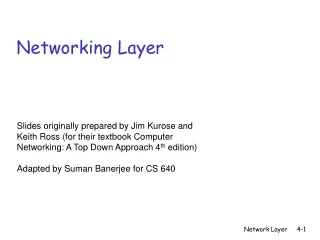 Networking Layer