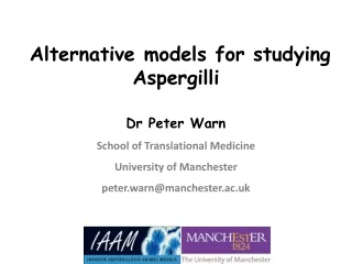 Alternative models for studying Aspergilli  Dr Peter Warn School of Translational Medicine