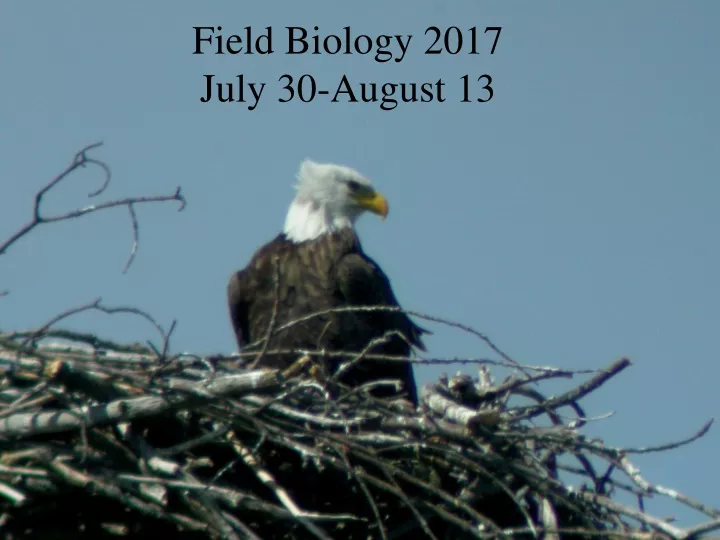 field biology 2017 july 30 august 13