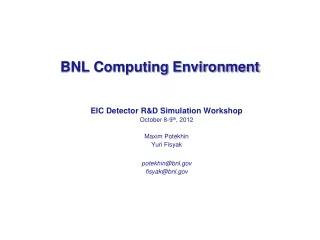 BNL Computing Environment
