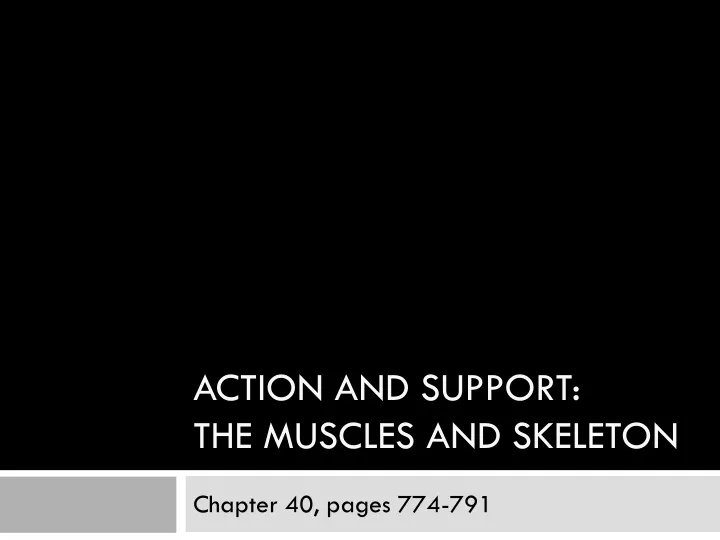 action and support the muscles and skeleton