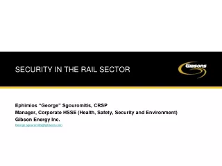 SECURITY IN THE RAIL SECTOR