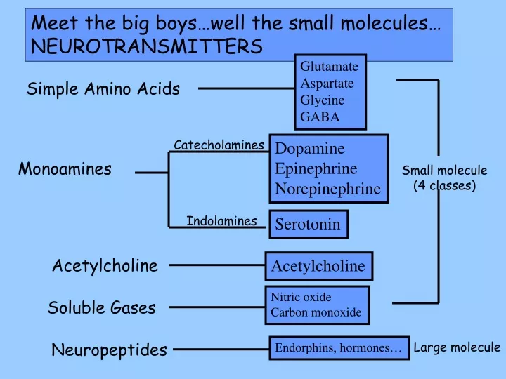 meet the big boys well the small molecules