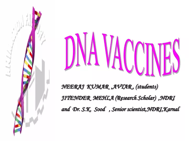 dna vaccines