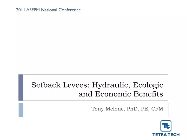 setback levees hydraulic ecologic and economic benefits