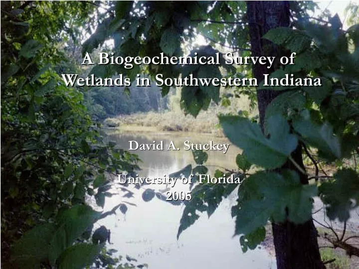 a biogeochemical survey of wetlands