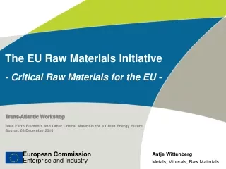 The EU Raw Materials Initiative -  Critical  Raw Materials for the EU -