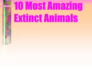 10 Most Amazing Extinct Animals