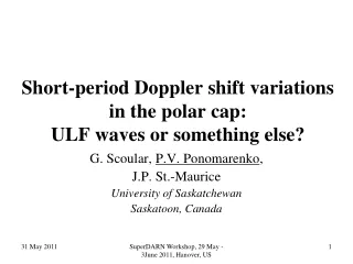 Short-period Doppler shift variations  in the polar cap:  ULF waves or something else?