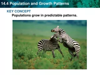 KEY CONCEPT  Populations grow in predictable patterns.