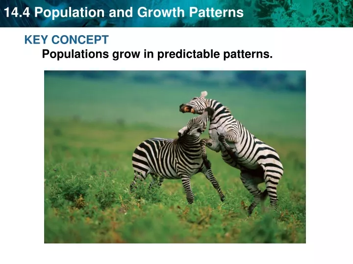 key concept populations grow in predictable