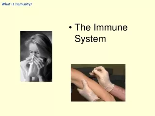 What is Immunity?
