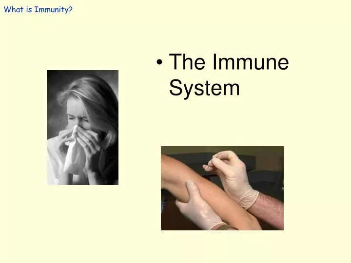 what is immunity