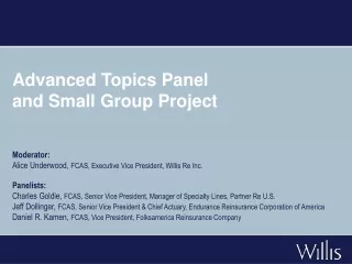 Advanced Topics Panel  and Small Group Project