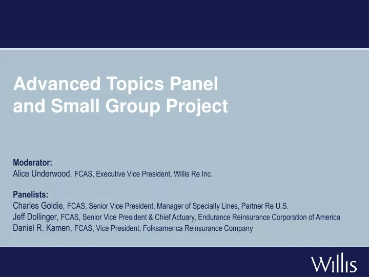 advanced topics panel and small group project