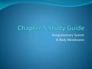 Chapter 5 Study Guide