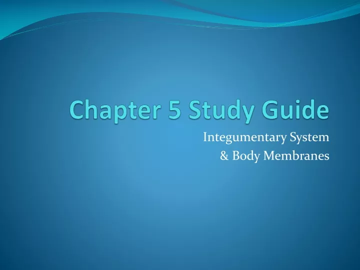 chapter 5 study guide