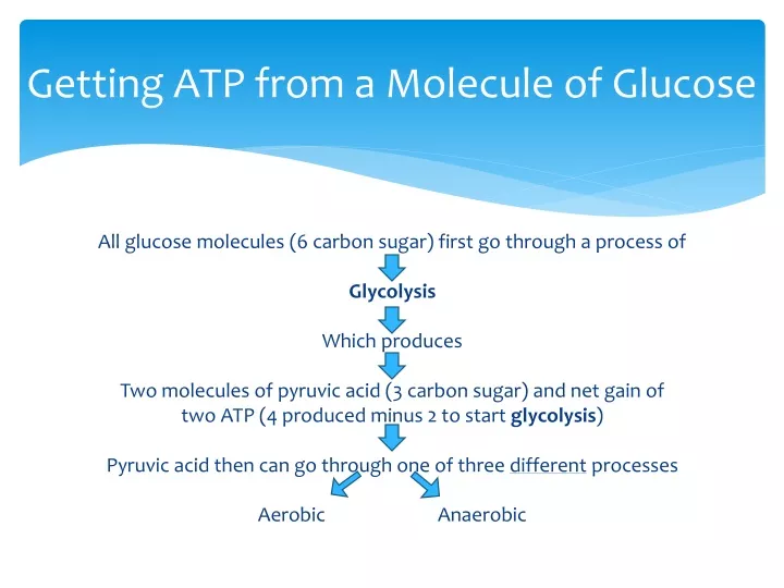 getting atp from a molecule of glucose