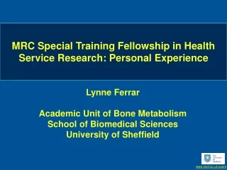 MRC Special Training Fellowship in Health Service Research: Personal Experience
