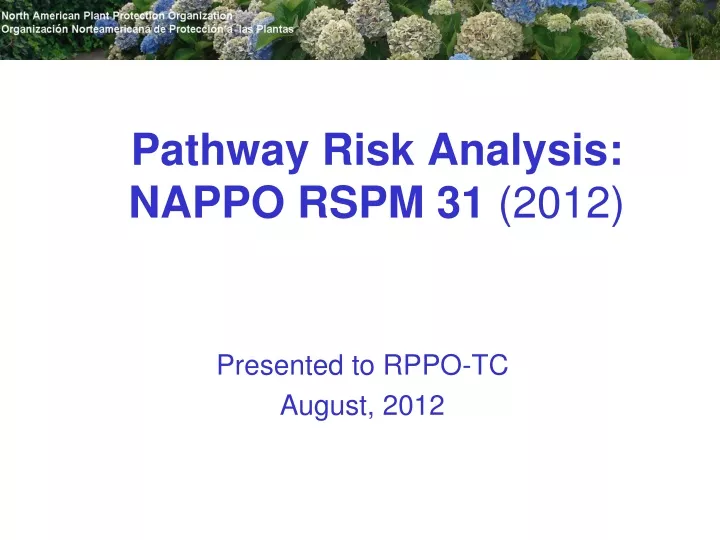 pathway risk analysis nappo rspm 31 2012