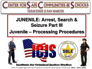 Institute for Criminal Justice Studies